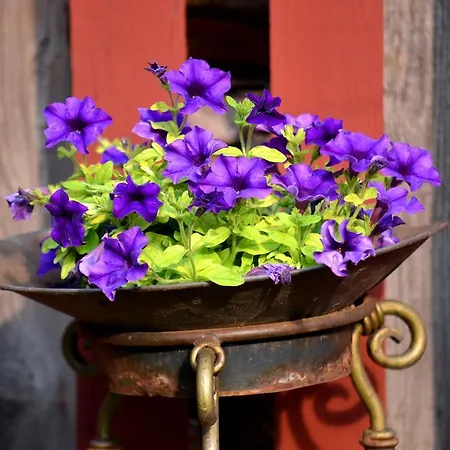 Rosma Mill House * Põlva