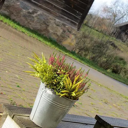 Rosma Mill Holiday House * Polva