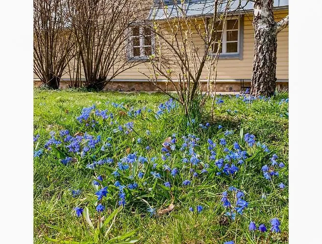 Rosma Mill House Дом отдыха Пылва