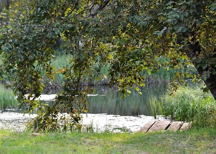 Дом отдыха Rosma Mill House *