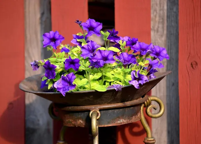 Rosma Mill House * Пылва